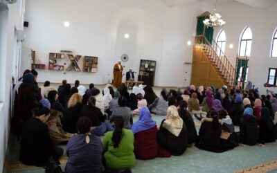 Ndertimi-i-familjes-se-shendoshe